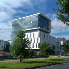 Rektorat